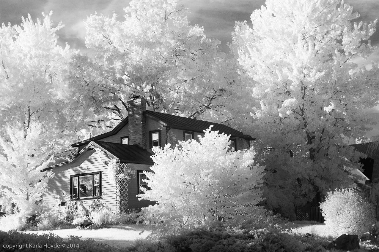 Infrared Landscape © Karla Hovde 2014