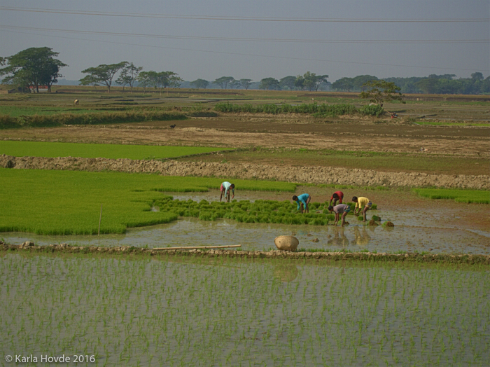 Bangladesh © Karla Hovde 2015