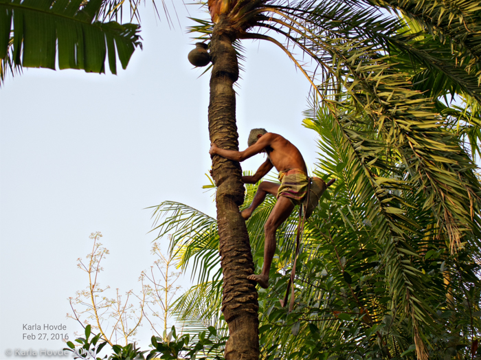 Bangladesh © Karla Hovde 2015