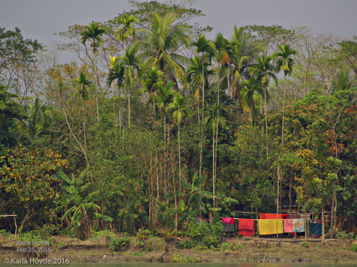 Bangladesh © Karla Hovde 2015