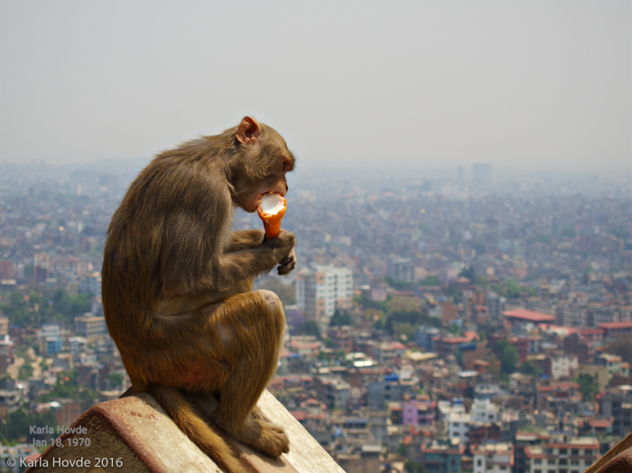 Bangladesh © Karla Hovde 2015