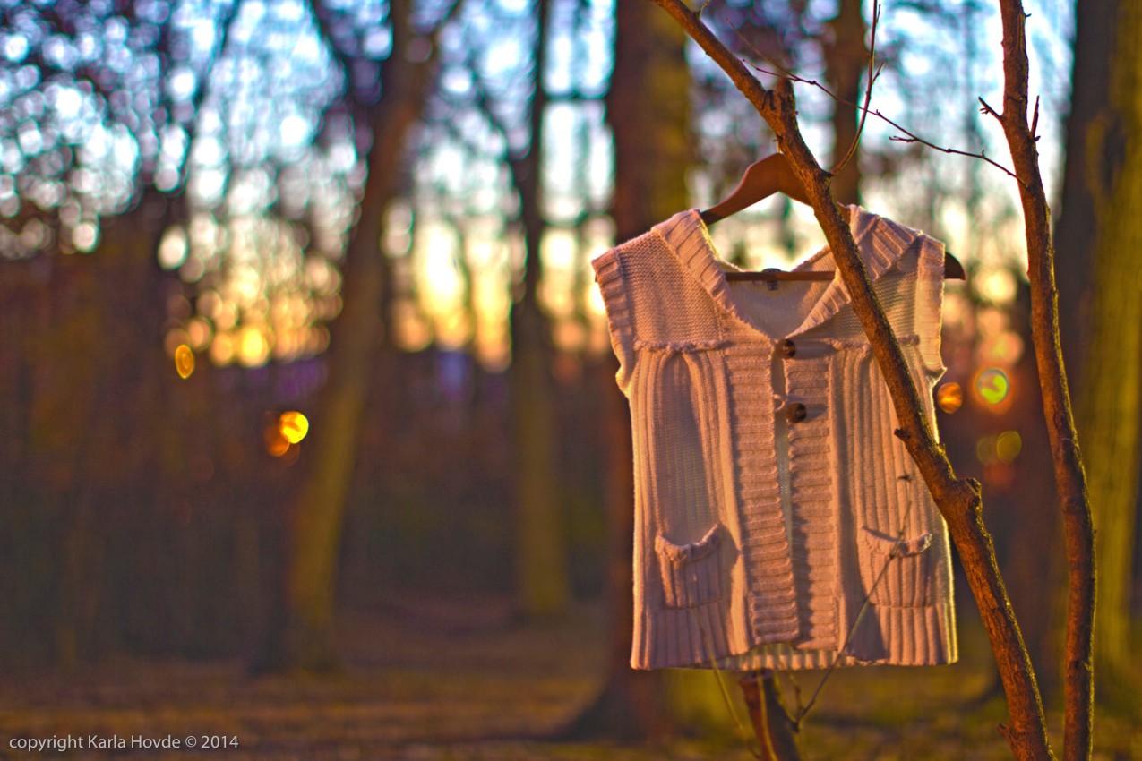 Wardrobe in the Woods © Karla Hovde 2014