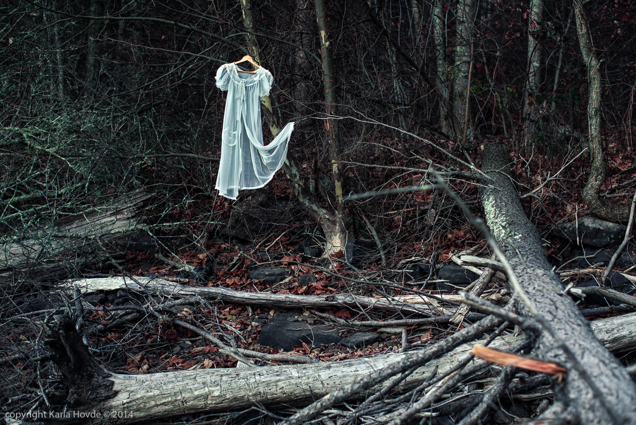 Wardrobe in the Woods © Karla Hovde 2014