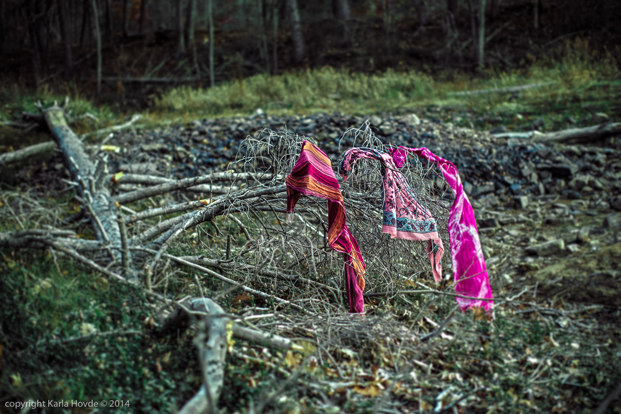 Wardrobe in the Woods © Karla Hovde 2014